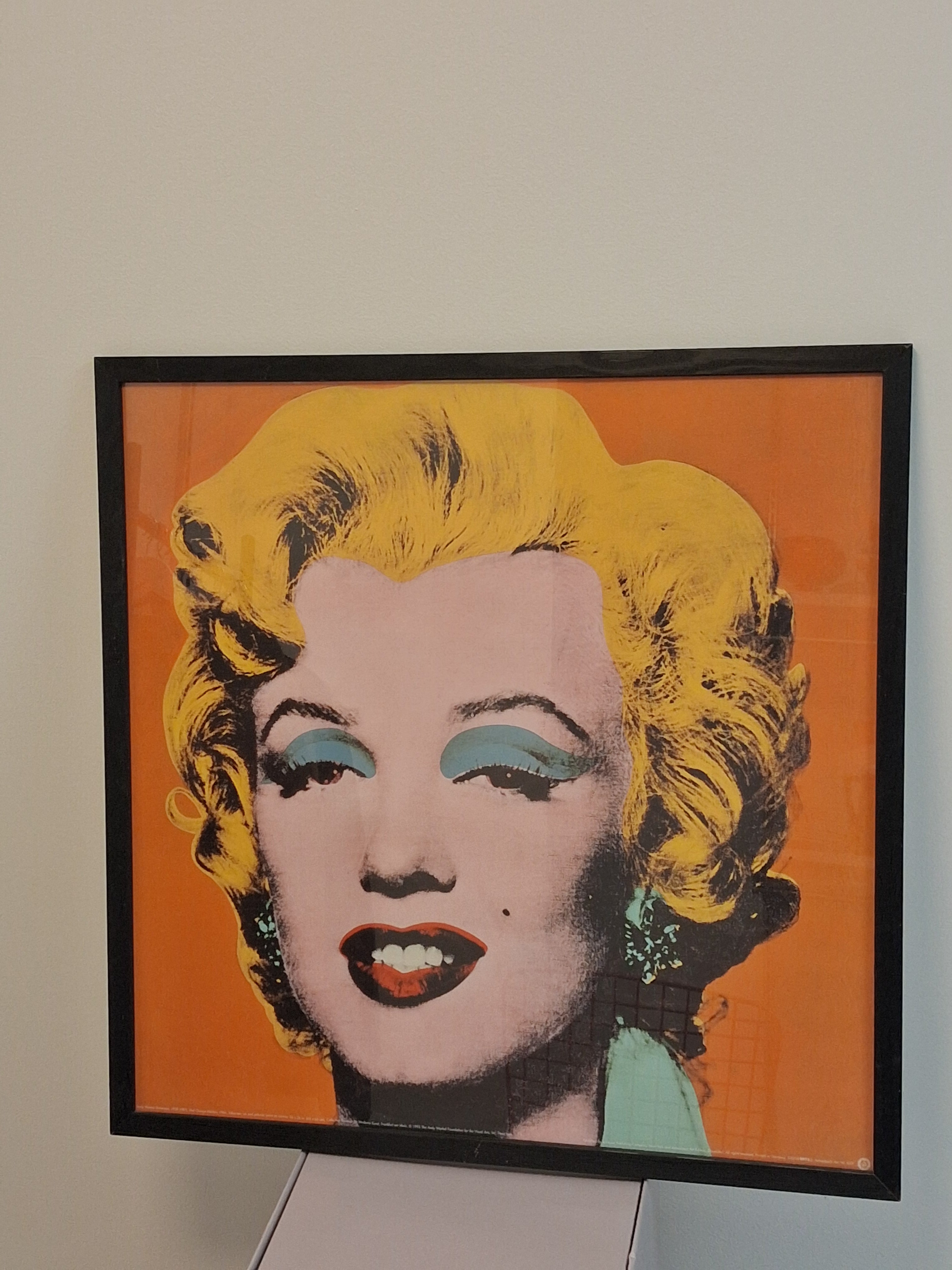 Marilyn Monroe Print Grafik